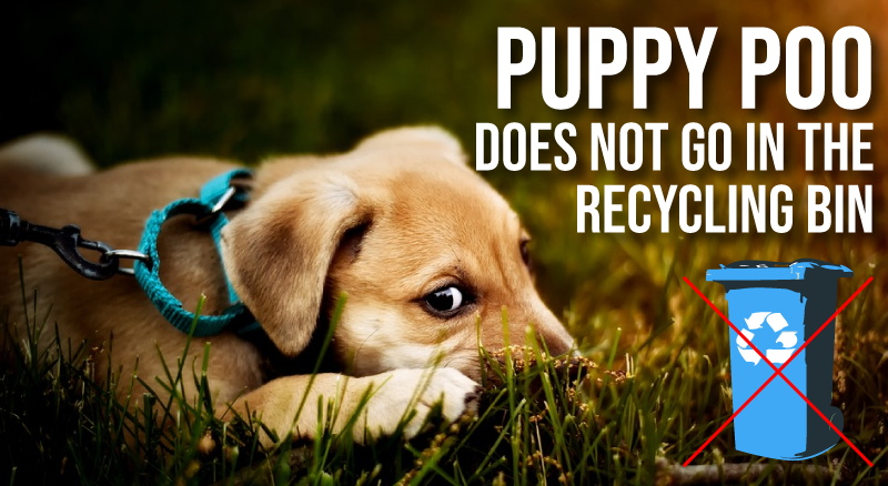 No Pet Waste Please…