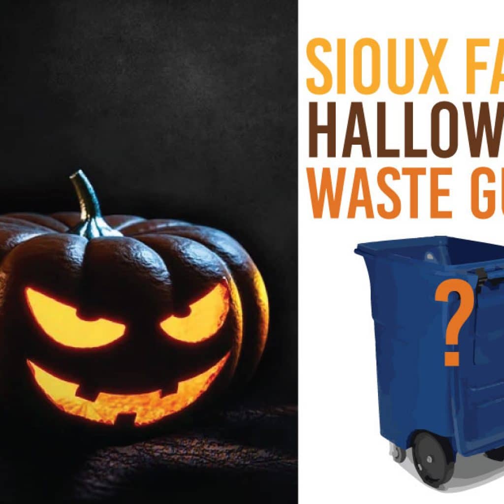Guide to Halloween Waste